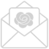 Sản phẩm newsletter — Công Ty TNHH Creative Ligths Việt Nam HD — MST 0801241744
