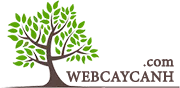 Logo Công Ty TNHH Webcaycanh