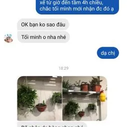 Sản phẩm chi dung hn 255x255 — Công Ty TNHH Webcaycanh — MST 0801244382