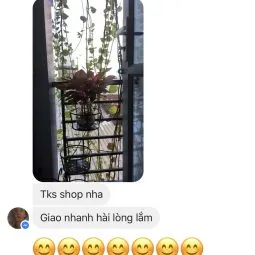 Sản phẩm danh gia khach hang 255x255 — Công Ty TNHH Webcaycanh — MST 0801244382