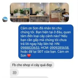 Sản phẩm feed back khach hang 255x255 — Công Ty TNHH Webcaycanh — MST 0801244382