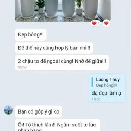 Sản phẩm feedback khach hang 5 255x255 — Công Ty TNHH Webcaycanh — MST 0801244382
