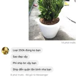 Sản phẩm feedback khach hang 6 255x255 — Công Ty TNHH Webcaycanh — MST 0801244382