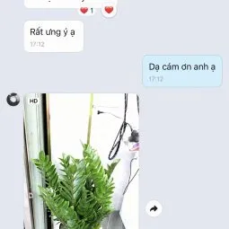 Sản phẩm thanh tung ha noi 255x255 — Công Ty TNHH Webcaycanh — MST 0801244382