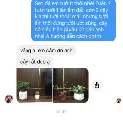 Sản phẩm thu trang hn danh gia 255x255 — Công Ty TNHH Webcaycanh — MST 0801244382