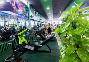 Sản phẩm trang tri cay canh phong gym avt 350x245 — Công Ty TNHH Webcaycanh — MST 0801244382