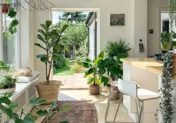 Sản phẩm yeu to giup cay canh trong nha xanh tot 350x245 — Công Ty TNHH Webcaycanh — MST 0801244382