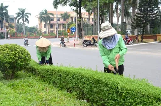 Sản phẩm unnamed 6 — Công Ty TNHH Thương Mại Và Dịch Vụ Nhà Sạch Hải Dương 24H Mai Lộc — MST 0801284963
