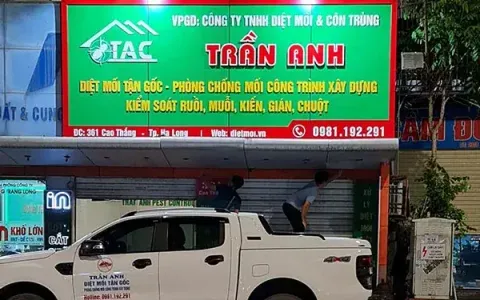 Văn phòng Diệt Mối Trần Anh - Công Ty TNHH Phòng Trừ Mối Và Diệt Côn Trùng Trần Anh #480 — MST 0801294344