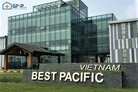 Văn phòng Công Ty Cổ Phần GMP Groups #1 — MST 0801297521