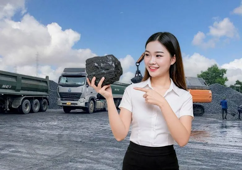 Sản phẩm anh bai than_2 782x550 — Than Đá Hùng Mạnh - Công Ty TNHH SX Và TM Hùng Mạnh — MST 0801349226