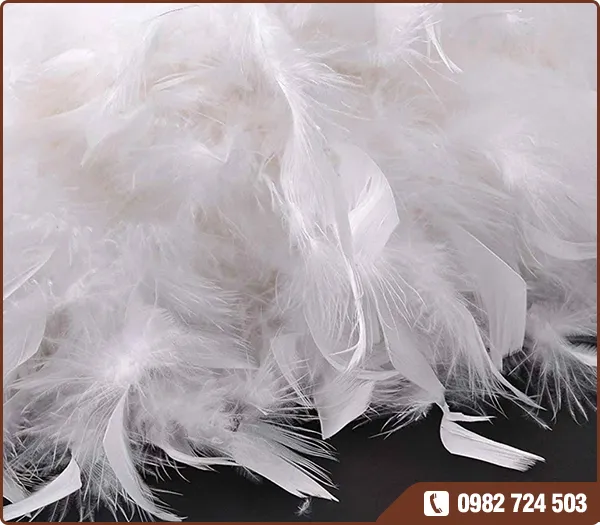Sản phẩm 3 — Lông Vũ Thắng Hà - Công Ty TNHH Xuất Nhập Khẩu Lông Vũ Thắng Hà — MST 0801362241