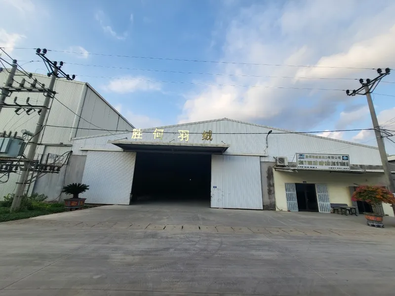 Sản phẩm z3885693546903_38ee195ea6e142e1c21a9ab14f2be53b — Lông Vũ Thắng Hà - Công Ty TNHH Xuất Nhập Khẩu Lông Vũ Thắng Hà — MST 0801362241