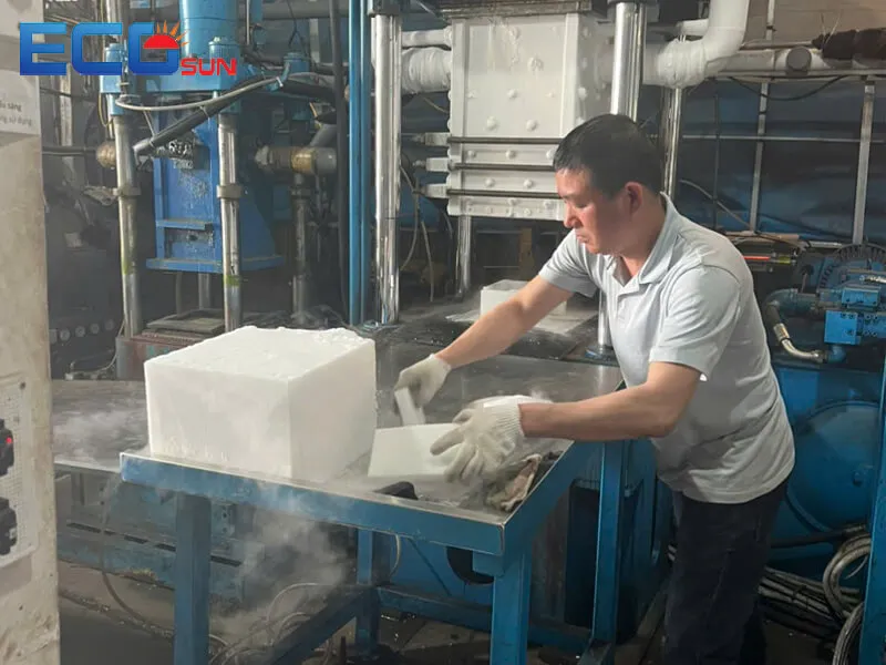 Sản phẩm da kho ecosun 4 2 — Đá Khô Eco Sun - Công Ty Cổ Phần Thương Mại Sản Xuất Eco Sun — MST 0801400472