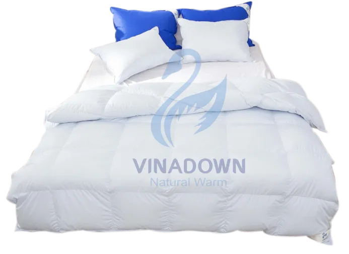 Sản phẩm Giuong — Chăn Ga Gối Đệm Phương Nam - Công Ty TNHH Lông Vũ Phương Nam — MST 0900148873