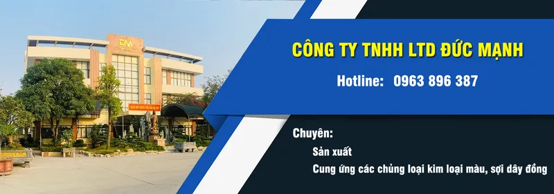 Sản phẩm nnn — Công Ty TNHH LTD Đức Mạnh — MST 0900225260