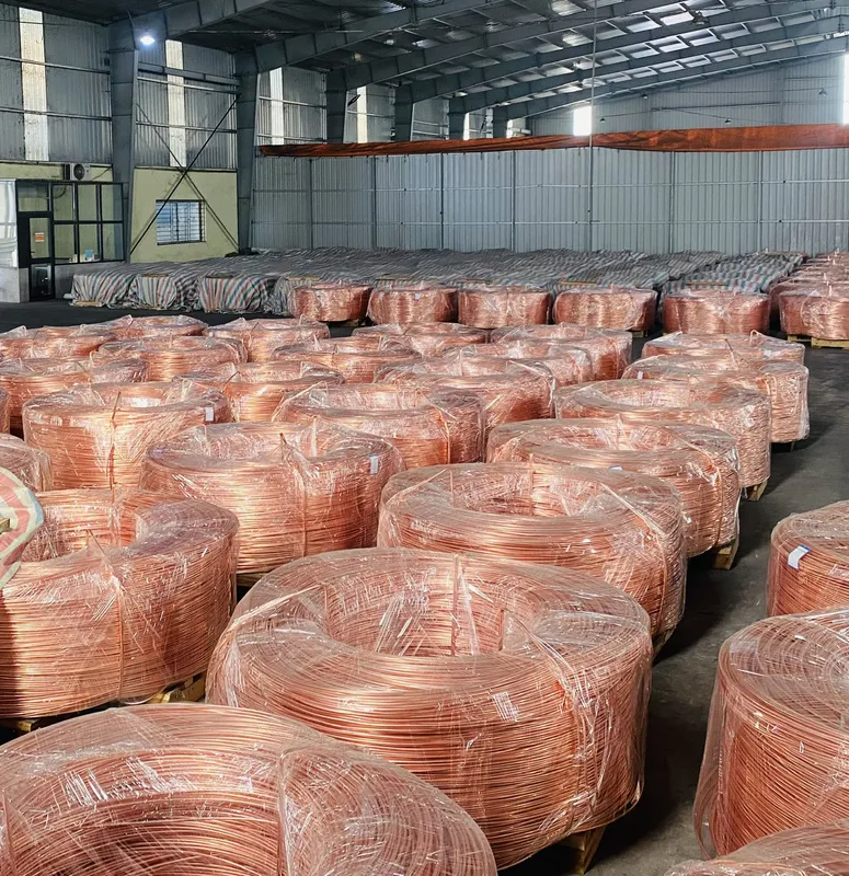 Sản phẩm Untitled 5 — Công Ty TNHH LTD Đức Mạnh — MST 0900225260