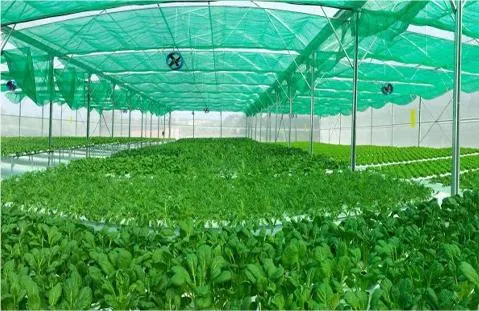Sản phẩm Ứng dụng nông nghiệp 2 — Thép Nhật Quang - Công Ty TNHH Thép Nhật Quang — MST 0900234699