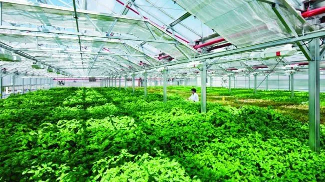Sản phẩm ứng dụng nông nghiệp 4 — Thép Nhật Quang - Công Ty TNHH Thép Nhật Quang — MST 0900234699