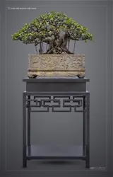 Sản phẩm z3112090830647_f1491697cde26783822f5c759aec51d4 — Công Ty TNHH Gia Anh Hưng Yên — MST 0900243245