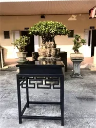 Sản phẩm z3208282877679_e9f0309e1301bd3d277b6742ed9678e1 — Công Ty TNHH Gia Anh Hưng Yên — MST 0900243245