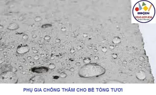 Sản phẩm Phụ_gia_chống_thấm_cho_bê_tông_tươi1_thumb — Công Ty TNHH Biken Việt Nam — MST 0900262720