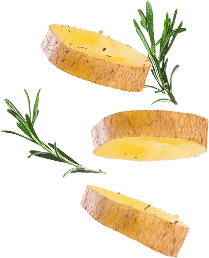 Sản phẩm 6 — Chi Nhánh Công Ty Cổ Phần Sản Xuất Đông Dương — MST 0900271549