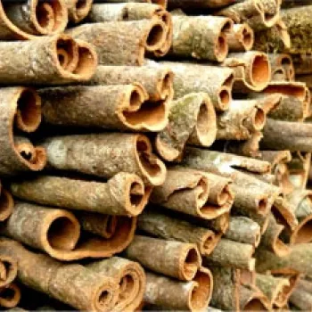 Sản phẩm 6tr_que ong — Chi Nhánh Công Ty Cổ Phần Sản Xuất Đông Dương — MST 0900271549