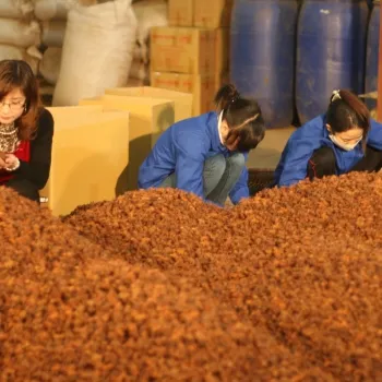 Sản phẩm 7wv_alibaba 1 — Chi Nhánh Công Ty Cổ Phần Sản Xuất Đông Dương — MST 0900271549