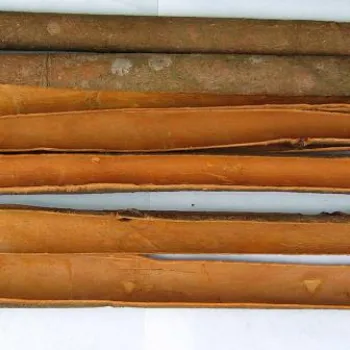 Sản phẩm esa_que che thanh — Chi Nhánh Công Ty Cổ Phần Sản Xuất Đông Dương — MST 0900271549