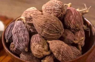 Sản phẩm lle_khong the bo qua loai qua dai la bau vat tren nui hinh 8 — Chi Nhánh Công Ty Cổ Phần Sản Xuất Đông Dương — MST 0900271549
