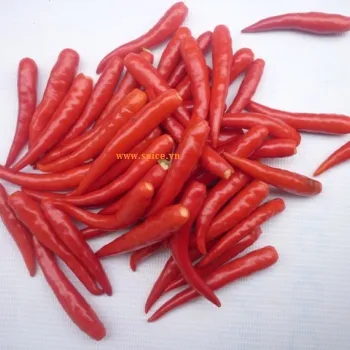 Sản phẩm mhz_ot tuoi bo cuong — Chi Nhánh Công Ty Cổ Phần Sản Xuất Đông Dương — MST 0900271549