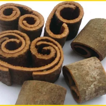Sản phẩm yuy_round cut cinnamon 2 — Chi Nhánh Công Ty Cổ Phần Sản Xuất Đông Dương — MST 0900271549