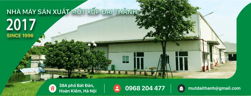 Sản phẩm MUTDEMDAITHANH 01   Copy 1 — Mút Xốp Đại Thành - Công Ty Cổ Phần Đại Thành — MST 0900421346