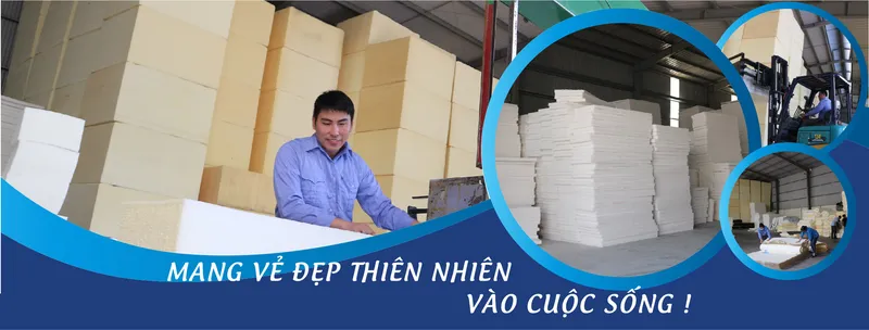 Sản phẩm MUTDEMDAITHANH 2 01 — Mút Xốp Đại Thành - Công Ty Cổ Phần Đại Thành — MST 0900421346