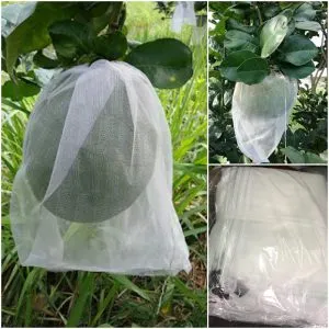 Sản phẩm Tui vai boc Buoi bolo 300x300 — Vật Tư Cầu Đường HT - Công Ty Cổ Phần HT Việt Nam — MST 0900631135