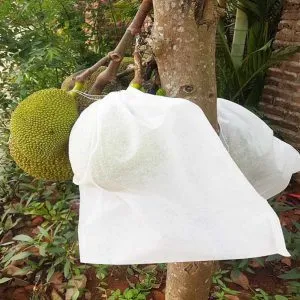 Sản phẩm Tui vai boc Mit 300x300 — Vật Tư Cầu Đường HT - Công Ty Cổ Phần HT Việt Nam — MST 0900631135