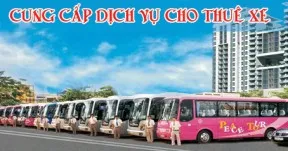Sản phẩm new starlight travel 0349 xe 45   hyundai aero town. nen — Công Ty TNHH Du Lịch Quốc Tế ánh Sao Mới — MST 0900652255