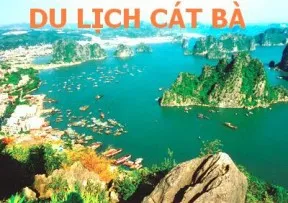 Sản phẩm new starlight travel 1214 cat ba 8 — Công Ty TNHH Du Lịch Quốc Tế ánh Sao Mới — MST 0900652255
