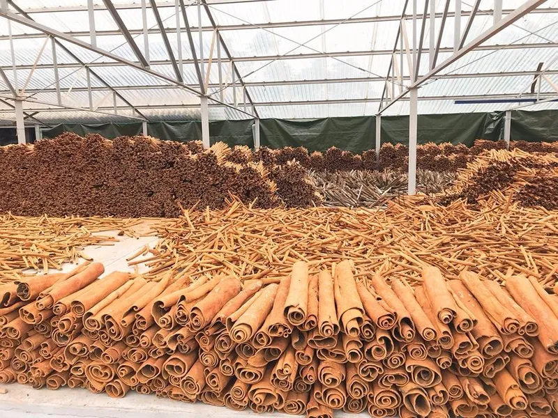 Sản phẩm z5438692278883_da3f71041d9b6c838d39dbf1460ff2e9 — Công Ty TNHH Thương Mại Và Dịch Vụ Xuất Nhập Khẩu Vương Long — MST 0900861202