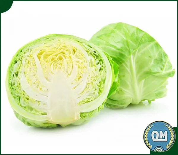 Sản phẩm bap cai — Suất Ăn Công Nghiệp Quang Minh Hưng Yên - Công Ty TNHH Dịch Vụ Và Thương Mại
Quang Minh Hưng Yên — MST 0900873455