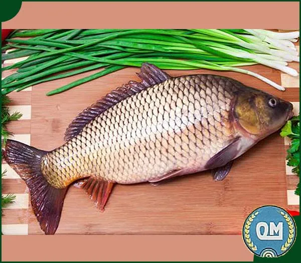 Sản phẩm ca chep — Suất Ăn Công Nghiệp Quang Minh Hưng Yên - Công Ty TNHH Dịch Vụ Và Thương Mại
Quang Minh Hưng Yên — MST 0900873455