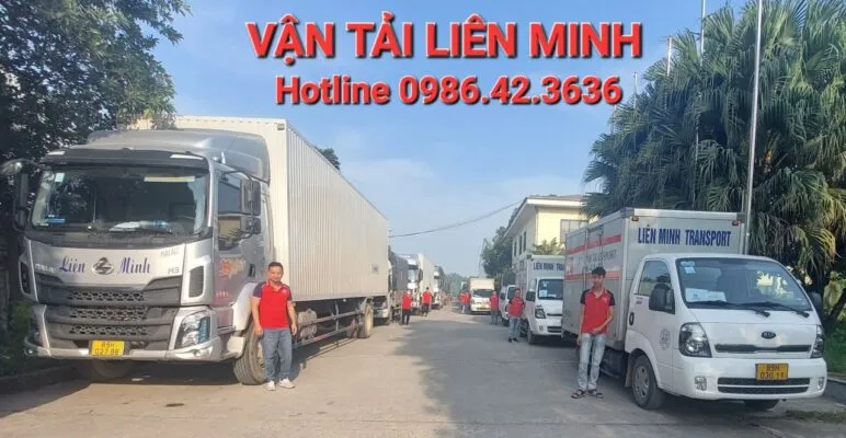 Sản phẩm z4885167313134_278b85a349a2d1bee24229186f85eac6 1 772x400 — Vận Tải Liên Minh - Công Ty TNHH Dịch Vụ Vận Tải Liên Minh — MST 0900989040