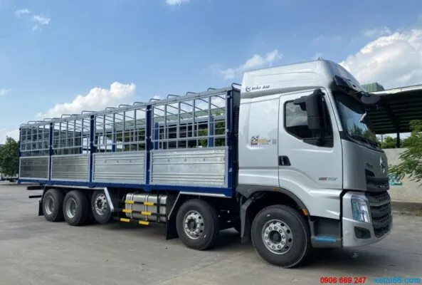 Sản phẩm z4885167322223_a378239fa1e8194c04e273d265354559 593x400 — Vận Tải Liên Minh - Công Ty TNHH Dịch Vụ Vận Tải Liên Minh — MST 0900989040