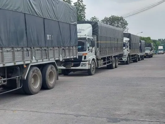 Sản phẩm z4885189731649_9d08aa9d3fde118272237542100bcb21 533x400 — Vận Tải Liên Minh - Công Ty TNHH Dịch Vụ Vận Tải Liên Minh — MST 0900989040