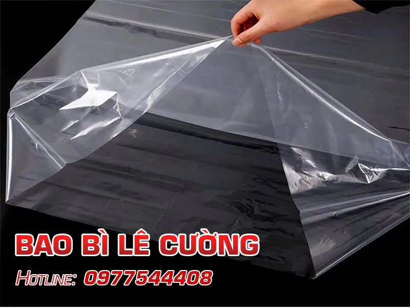 Sản phẩm intro — Công Ty TNHH Thương Mại Và Sản Xuất Bao Bì Lê Cường — MST 0901009544
