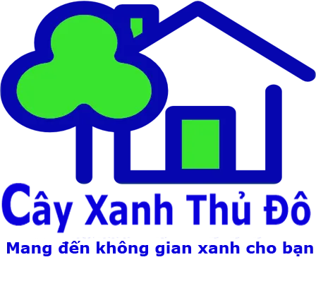 Logo Công Ty TNHH Sản Xuất Và Kinh Doanh Cây Xanh Thủ Đô