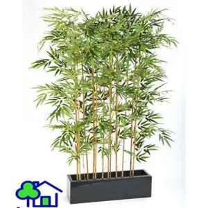 Sản phẩm truc quan tu 02 300x300 — Công Ty TNHH Sản Xuất Và Kinh Doanh Cây Xanh Thủ Đô — MST 0901055653