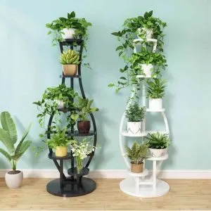 Sản phẩm 26f0a176a5e243bc1af3 300x300 — Công Ty TNHH Sản Xuất Và Kinh Doanh Cây Xanh Thủ Đô — MST 0901055653