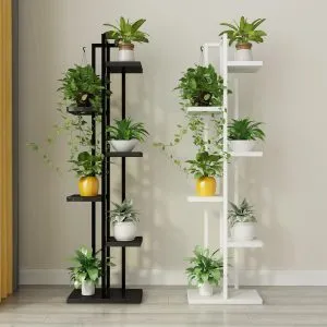 Sản phẩm 309af8ca5d57bb09e246 300x300 — Công Ty TNHH Sản Xuất Và Kinh Doanh Cây Xanh Thủ Đô — MST 0901055653